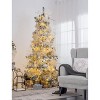 Gulches Set of 12 Elegant 4.2" Glass Christmas Ball Ornaments - Decorative Hanging Accents for Holiday Trees and Festive Celebrations - 4 of 4