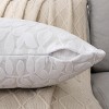 Kate Aurora Red Hook Cut Leaf Embossed Chenille Ultra Plush & Fluffy 18"x 18" Filled Accent Throw Pillow With Removable Zipper Shell/Cover - 3 of 4