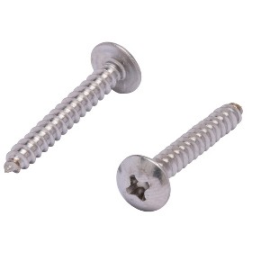 Bolt Dropper No. 6 X 3/4" Stainless Truss Head Phillips Wood Screw, 25pc - 1 of 4