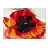 "Petunia" Outdoor Canvas - 2 of 3