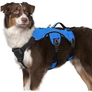 rabbitgoo Escape Proof Dog Harness, Soft Padded Full Body Pet Harness, Reflective Adjustable No Pull Vest  Walking Hiking Training, M, Blue - 1 of 1
