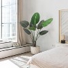 Artificial Plants Indoor, Bird of Paradise Fake Plant, Banana Leaf Tree, Tropical Palm Trees Room Decor, Floor Plant for Home Garden Living Room - 2 of 4