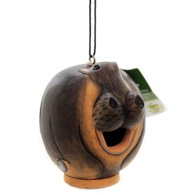 Home & Garden 6.5" Hippo Gord-O Birdhouse Albesia Songbird Gold Crest Distributing  -  Bird And Insect Houses