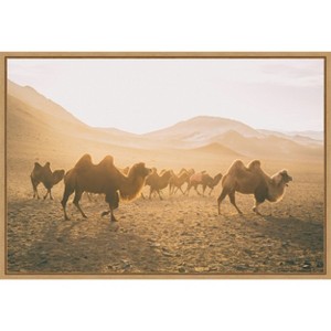 Amanti Art Camels on the Move by Aledanda Canvas Wall Art Print Framed 23 x 16-in. - 1 of 4