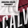 Calvin University Fan Zone Silky Touch Super Soft Throw Blanket 50x60 - 4 of 4