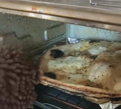 Guest review image 1 of 4, zoom in