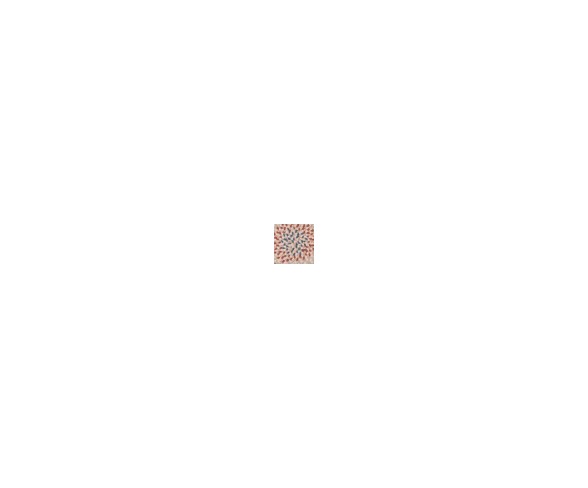 Boston Common Braided Accent Rug - Harbour Lites - (4' Round) - Colonial Mills