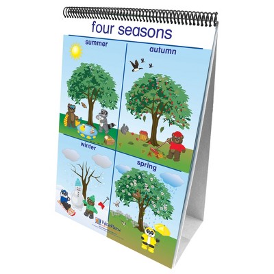 NewPath Learning Early Childhood Science Readiness Flip Charts, Weather & Sky