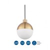 Progress Lighting Globe Collection 1-Light Pendant, Steel, Brushed Bronze, Opal Glass Shade - 3 of 4