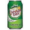 Canada Dry Ginger Ale Soda - 12 Oz Can (Pack of 24) - 2 of 2