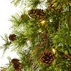 4ft. Alpine Artificial Christmas Tree with 50 Clear Multifunction LED Lights & Pine Cones – Petite Festive Holiday X-Mas Accent - 3 of 4