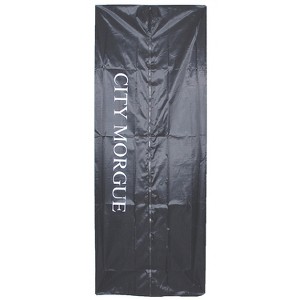 Sunstar Halloween Decoration - 72 in x 28 in - Black - 1 of 1