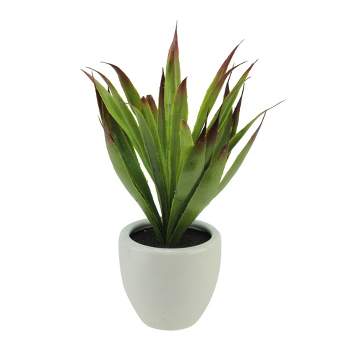 Northlight 13.5" Agave Succulent Artificial Potted Plant - Green/White