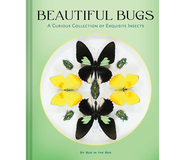 Beautiful Bugs - by  Bug in the Box (Hardcover), 1 of 1