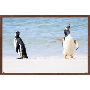 Trends International The Comedy Wildlife Photography Awards: Jennifer Hadley - Talk To The Fin Framed Wall Poster Prints - 1 of 4
