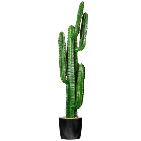 24 Wholesale Cactus Peeler - at 
