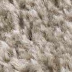 off white, medium gray