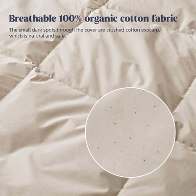 EcoDream Full/Queen Off-White Organic Cotton Down Comforter