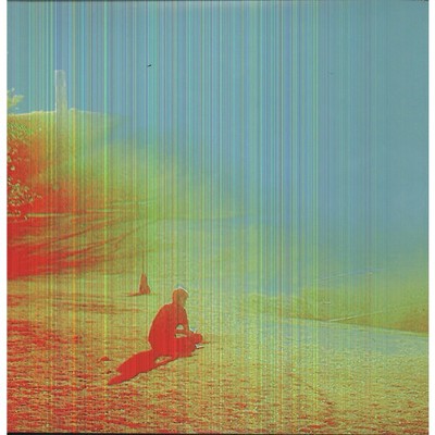 The Flaming Lips - The Terror (Vinyl)