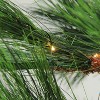 Northlight 7' Prelit Artificial Christmas Tree Long Needle Pine - Warm Clear Micro Rice LED Lights - 3 of 4