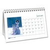 Earthscapes Recycled Desk Tent Monthly Calendar, Puppies Photography, 8.5 x 4.5, White Sheets, 12-Month (Jan to Dec): 2025 - 2 of 3