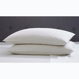 BrylaneHome 2-Pack Quilless Feather-Filled Pillows - 1 of 1