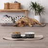 Bone Dry Pet Bowl - Set/2 - 3 of 4