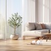 2pcs Artificial Olive Tree 4.25FT(51in) Tall Faux Silk Olive Trees - 3 of 4