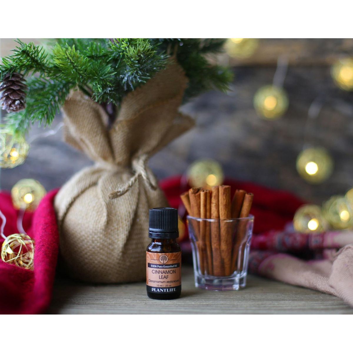 Plantlife Cinnamon Leaf Essential Oil – 100% Pure & Therapeutic – Natural, Undiluted & Steam-Distilled – No Additives – 10ml Aromatherapy - thumbnail 4