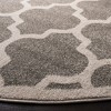 Amherst AMTW420 Power Loomed Indoor Rugs - Safavieh - 3 of 4