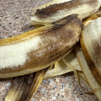 Guest review image 2 of 3, zoom in