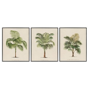 Stupell Industries Les Palmiers Botanical Trio, 11" x 14" - 1 of 4