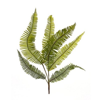 Melrose Varigated Fern Foliage Spray (Set of 6)