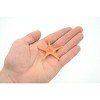 Collectible Wildlife Gifts | Starfish,  Ross, Sea Star, Echinoderms, Asteroidea, Ocean, Sea Life, Plastic,  Toy,  Life Like, Gift,  2 1/4"  F927 B158 - 3 of 4