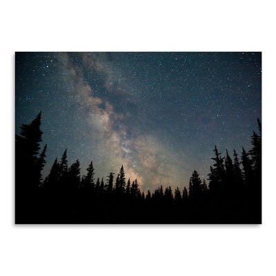 Americanflat Botanical Stars Over The Forest By Luke Gram Poster : Target