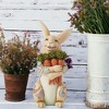 Jim Shore 5.5 Inch Simply Ear-Risistable Rabbit Bunny Carrots Animal Figurines - 2 of 4