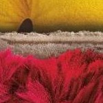 clear push pins bundle