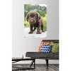 Trends International Keith Kimberlin - Puppy - Who Needs a Hug? Unframed Wall Poster Prints - 2 of 4