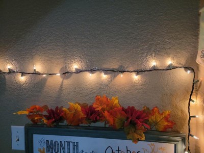 Guest review image 3 of 3, zoom in