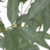 NicBex Artificial Tree Faux Plants 4FT Artificial Eucalyptus Leaves Bonsai Tree Indoor with Wood Trunk, Room Decor for Home, Porch - 2 of 4