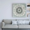 Trademark Fine Art -Danhui Nai 'Sunburst Neutral' Canvas Art - 3 of 3