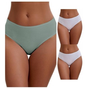 INSPIRE CHIC Plus Size for Women's Cotton Mid-Waisted Briefs Full Coverage Comfortable Underwear 3 Packs - 1 of 4