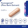 Pure Encapsulations Pycnogenol (Pine Bark Extract) 50 mg - Hypoallergenic - to Support Cognitive Function and Cardiovascular Health - 3 of 4