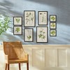 Plum & Post Foliage Prints, Set Of 9 - 3 of 4