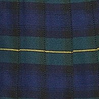 hunter/classic navy plaid