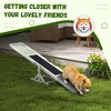 BABYYER Wooden Dog Agility Seesaw, Dog Backyard Run Game Toy Durable Outdoor Pet Activity Equipment for Exercise Training and Exercise - 3 of 4