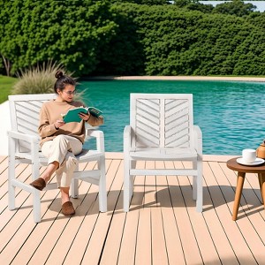 Etelifrank Set of 2 Modern  Outdoor Chairs - Patio Furniture for Garden or Poolside - 1 of 4