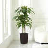 5-6ft UV & Sunproof Artificial Dracaena Tree for Indoor/Outdoor - Faux Silk Plant in Tall Planter, Tall Faux Tree for Home & Garden Decor - 2 of 4