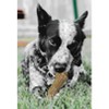 ETHICAL/SPOT Love The Earth Coffee Wood Dog Chew Toy  (X-Large) - 2 of 3