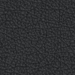 army academy black knights